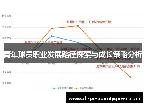 青年球员职业发展路径探索与成长策略分析