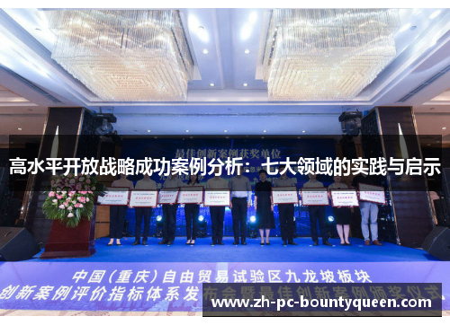 高水平开放战略成功案例分析：七大领域的实践与启示