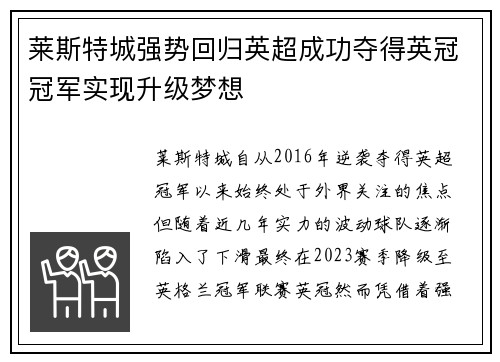 莱斯特城强势回归英超成功夺得英冠冠军实现升级梦想